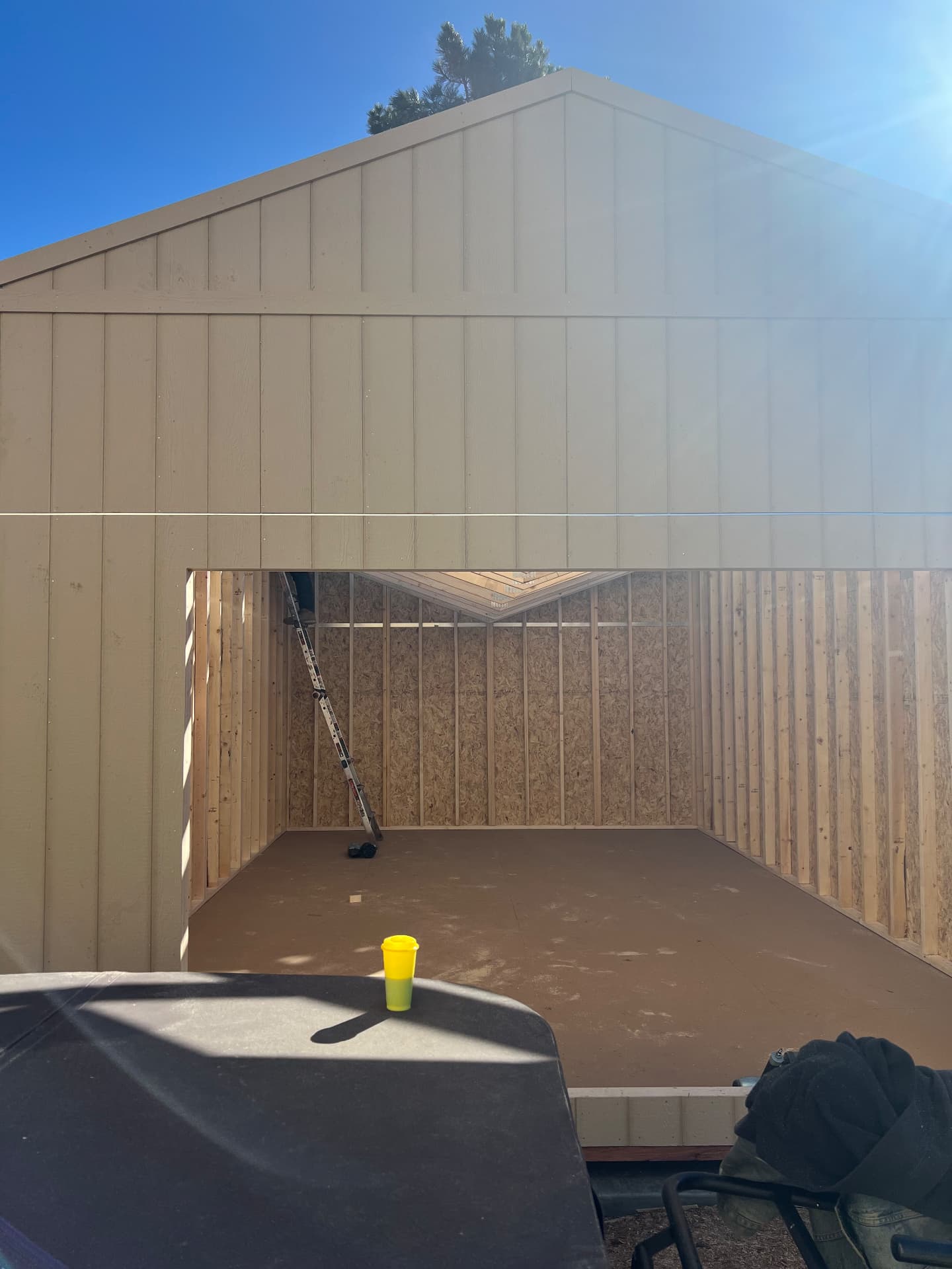 Framed backyard outbuilding with open studs before finishing
